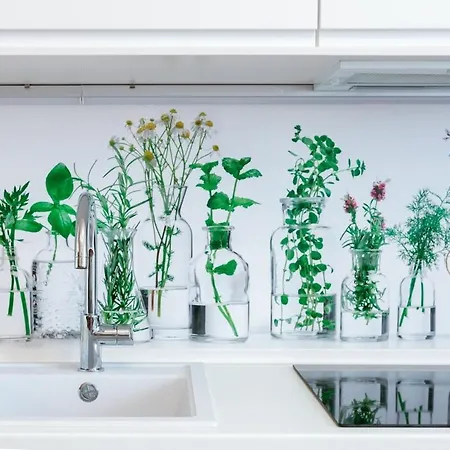 Ohana Emelet - Kecskemét