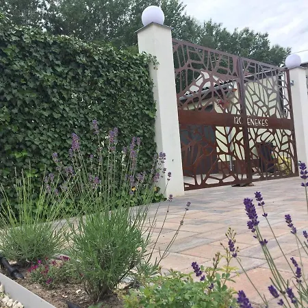 Ohana Emelet - Apartmán *