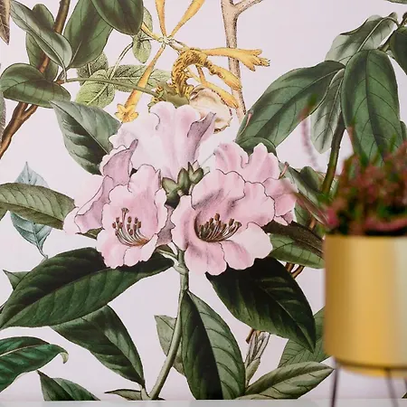 Ohana Emelet - Apartmán